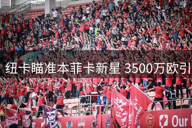 纽卡瞄准本菲卡新星 3500万欧引援或引发位置之争