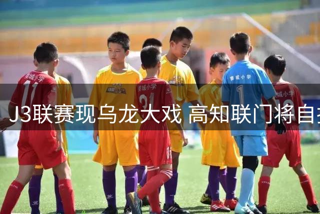 J3联赛现乌龙大戏 高知联门将自摆乌龙